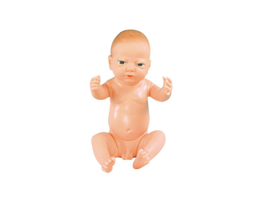 高級滿月嬰兒模型(男嬰\女嬰任選，重量4000克)